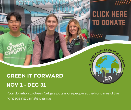 Green it Forward: Donate Today 